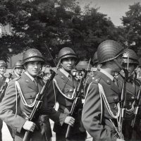 obraz 48